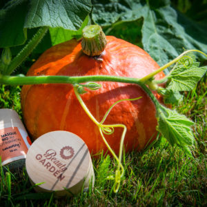 Masque bio potimarron